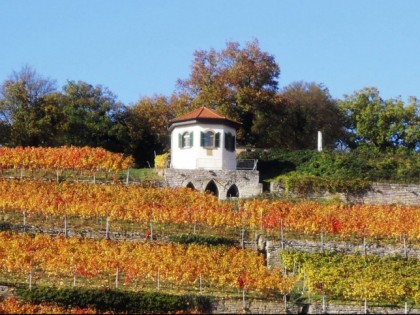 照片: Weinbau Pavillon